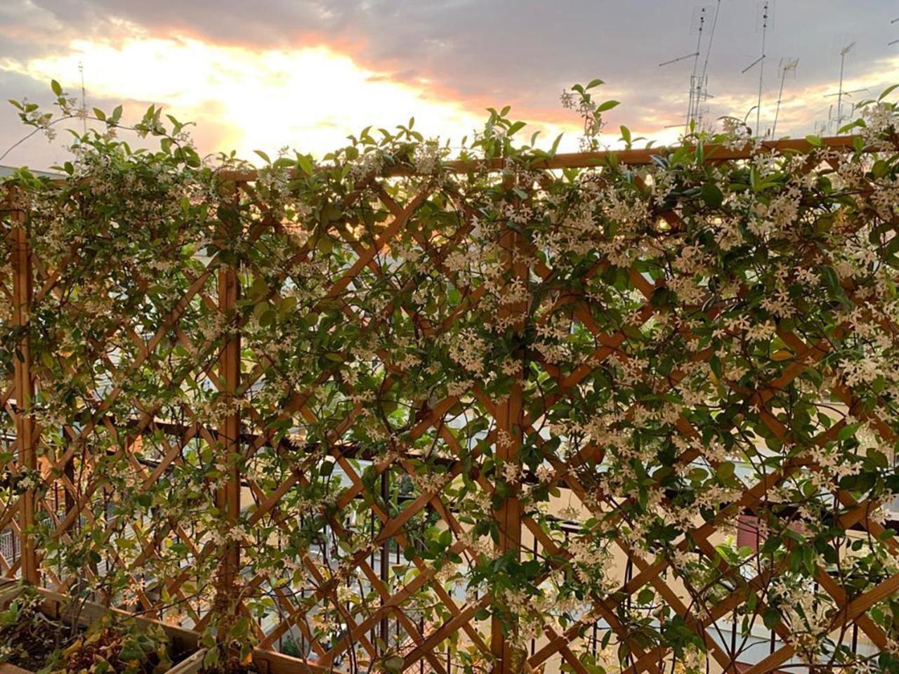 In Terrazza Da Giusy Bed & Breakfast Rome Bagian luar foto